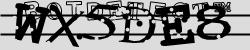 Retype the CAPTCHA code from the image