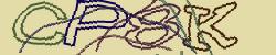 Retype the CAPTCHA code from the image