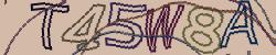 Retype the CAPTCHA code from the image