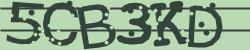 Retype the CAPTCHA code from the image