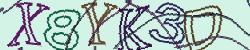 Retype the CAPTCHA code from the image